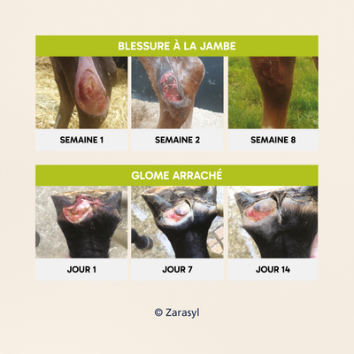 Zarasyl Equine | RÉPARATION PROFONDE TISSUS CUTANÉS + REPOUSSE DU POIL