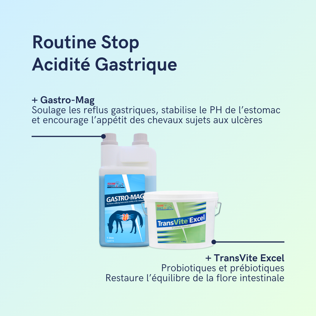 Routine Stop Acidité Gastrique