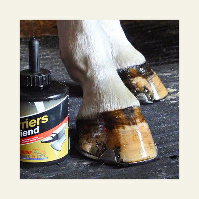 Farriers Friend Hoof Oil | CROISSANCE, ELASTICITÉ ET RÉSISTANCE DES SABOTS | NOIR SATIN