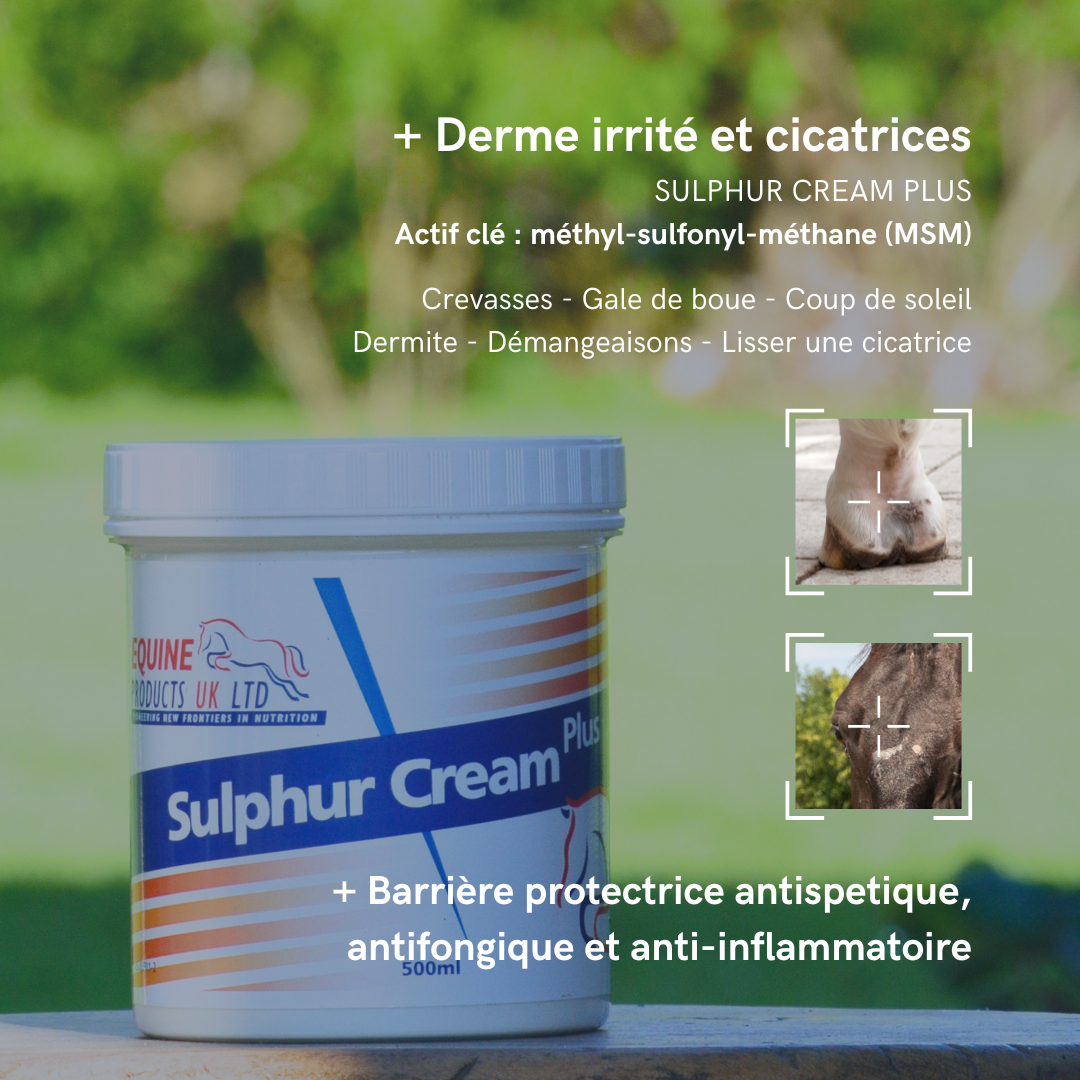 Sulphur Cream | BARRIÈRE CUTANÉE ANTI-INFLAMMATOIRE | CREVASSES, GALE DE BOUE...