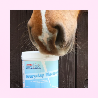 Everyday Electrolyte | MINÉRAUX ESSENTIELS QUOTIDIEN DE QUALITÉ SUPÉRIEURE