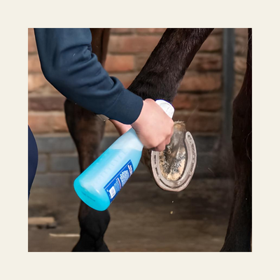 Hoof Health Spray | SOIN MIRACLE FOURCHETTES POURRIES