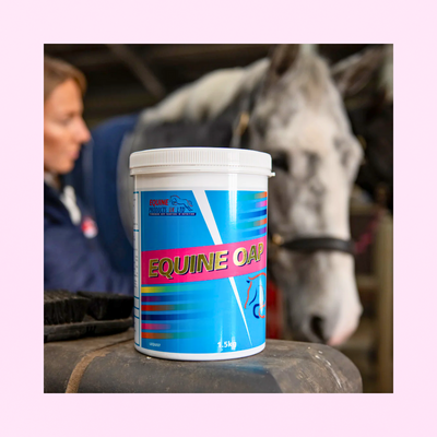 Equine OAP | CONFORT SENIORS | SPECTRE ULTRA-COMPLET